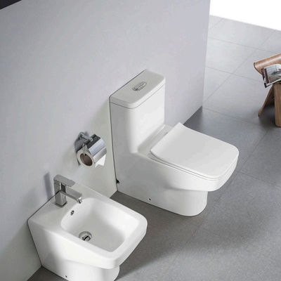 China de lujo de cerámica sifónica de una pieza de color Mat Toilet con placa de cubierta tampón
